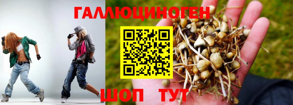 Михайловск  Галлюциногенные грибы GOLDEN TEACHER  Галлюциногенные грибы MAGIC MUSHROOMS  Вход с VPN 